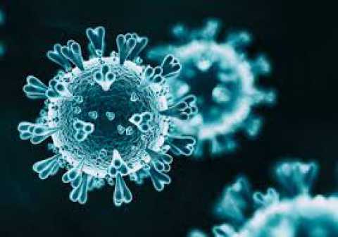 Coronavirus, in Puglia 85 nuovi casi: positivo il 5,63% dei tamponi